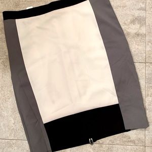 Narciso Rodriguez for DesigNation Colorblock Crepe Pencil Skirt